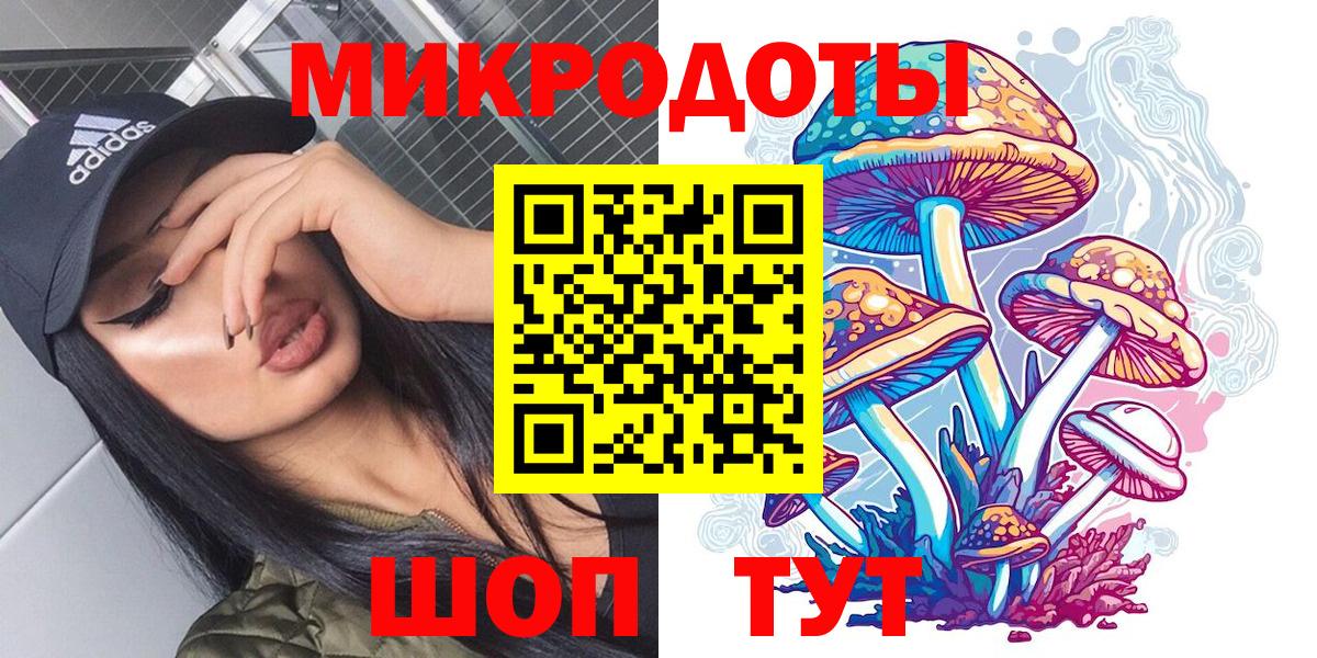 Галлюциногенные грибы Psilocybine cubensis Красноуфимск